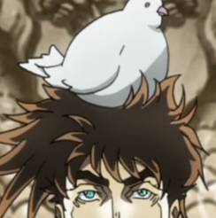 Paradise of the Pigeon
