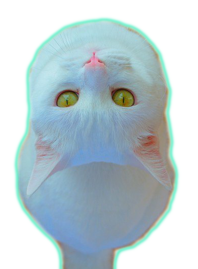 tumblr_static_tumblr_mau05bs6er1rggm6ao1_400.png