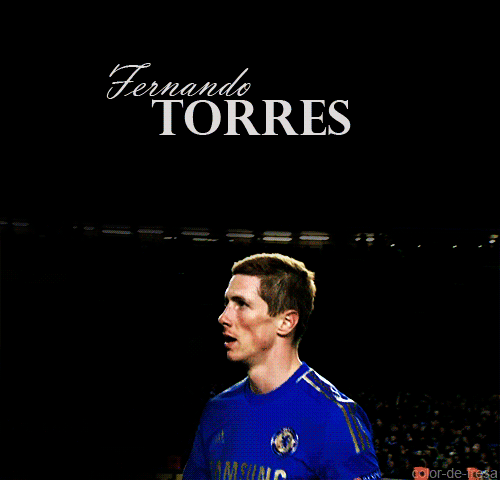 WWW FERNANDO TORRES COM www fernando torres com:
