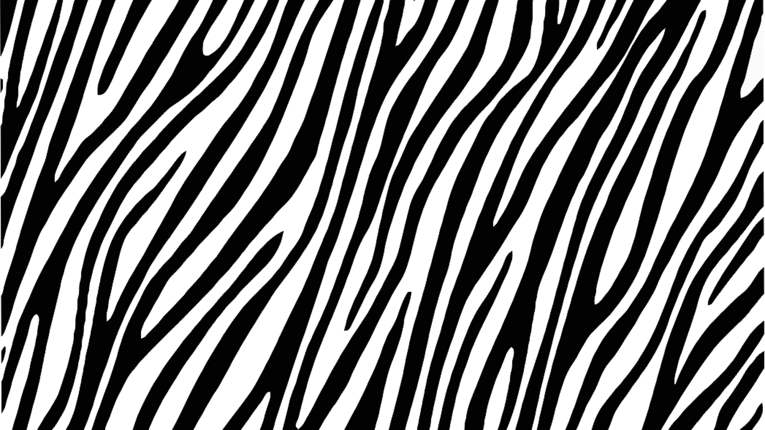 Imagenes De Fondo De Pantalla De Cebra | photo collection cebras image fondos Imagenes De Fondo De Pantalla De Cebra | photo collection cebras image fondos