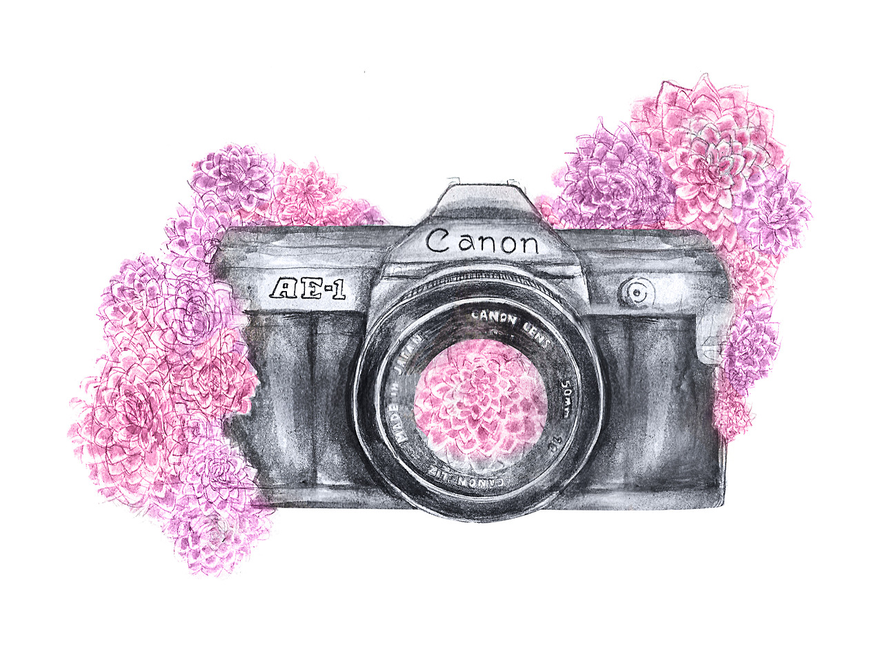 tumblr camera drawing camera tumblr