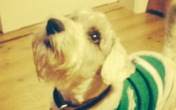 Jimmy's Beautiful Emerald Eyed Broken Winged Angel