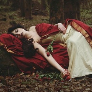 A scarlet rose in a mythical garden