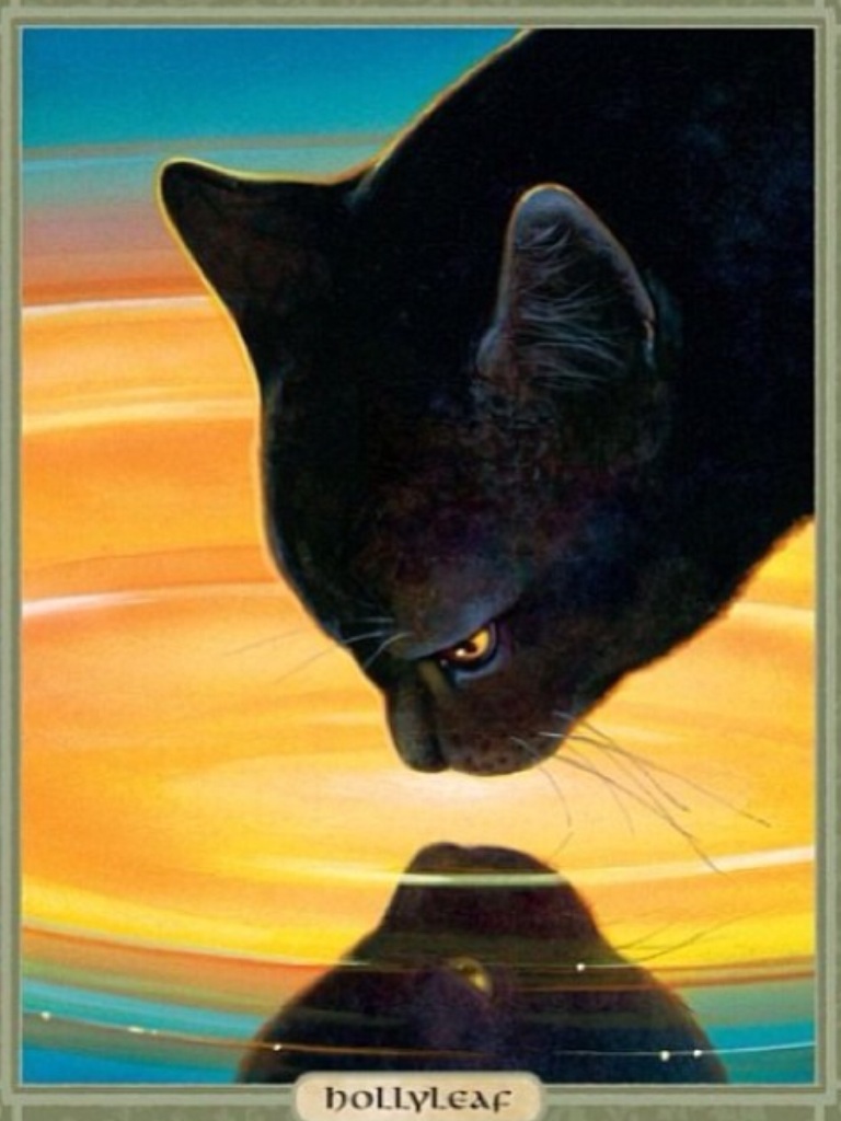 Warrior Cats M Things For Clans Warrior Cats M Things For Clans