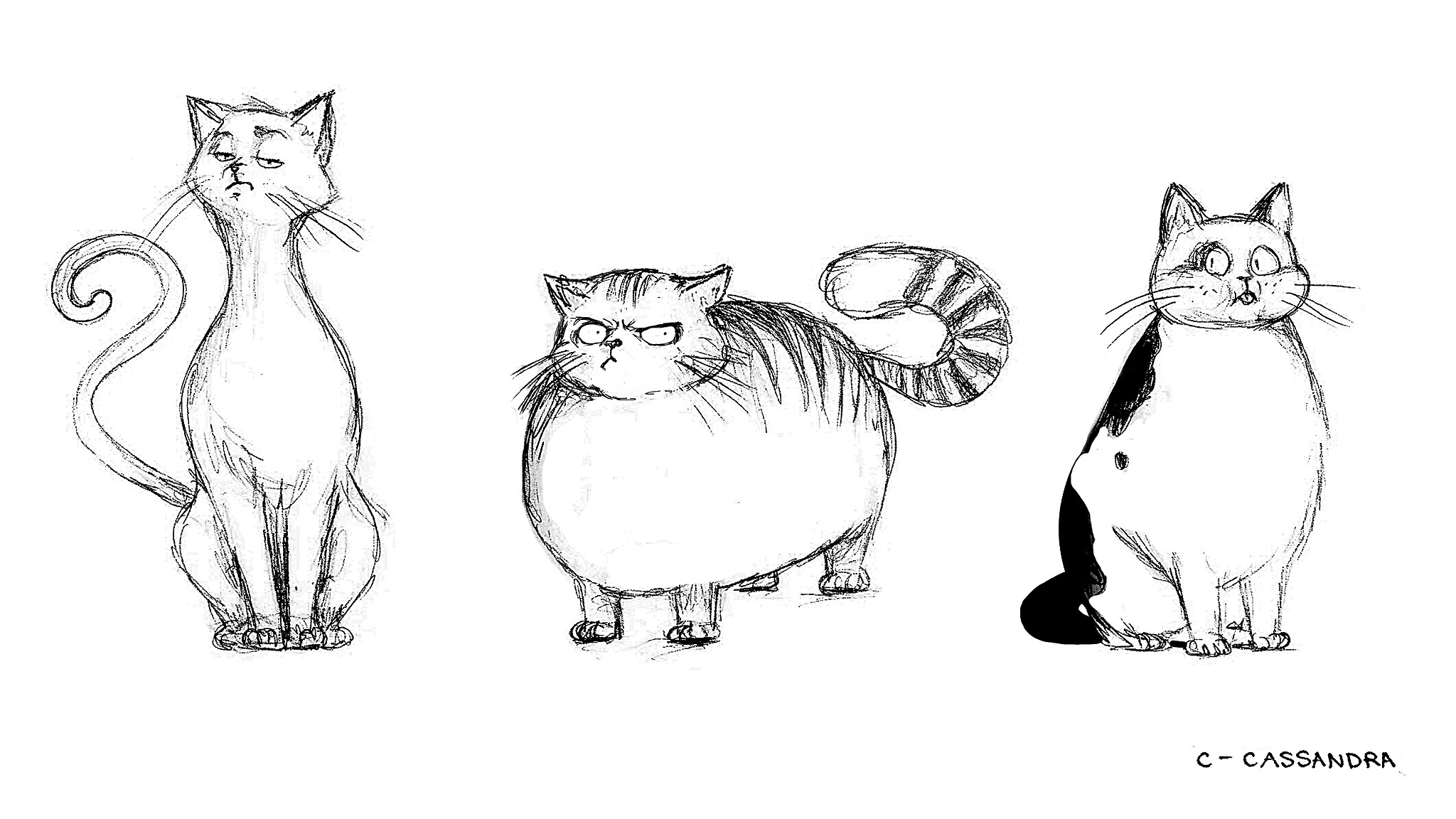 Draw Cats Cassandra Draw Cats Cassandra