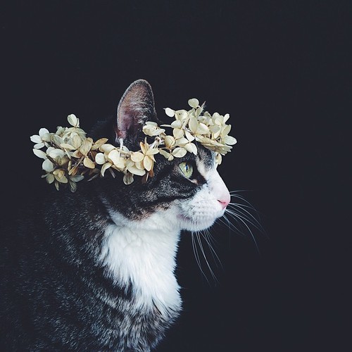 Resultado de imagem para tumblr