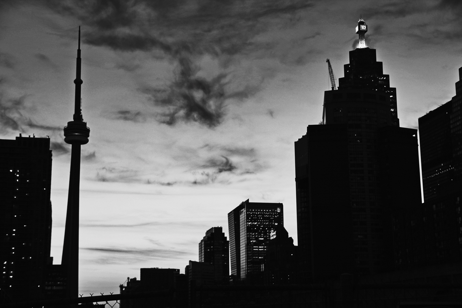 Header Banner