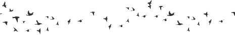 http://static.tumblr.com/67e35bedb650e891c8cc3980bcaf3abe/oeic3oj/Avzn8jphc/tumblr_static_6hzp6o5c2fc44ss8gssskssk0.gif http://static.tumblr.com/67e35bedb650e891c8cc3980bcaf3abe/oeic3oj/Avzn8jphc/tumblr_static_6hzp6o5c2fc44ss8gssskssk0.gif