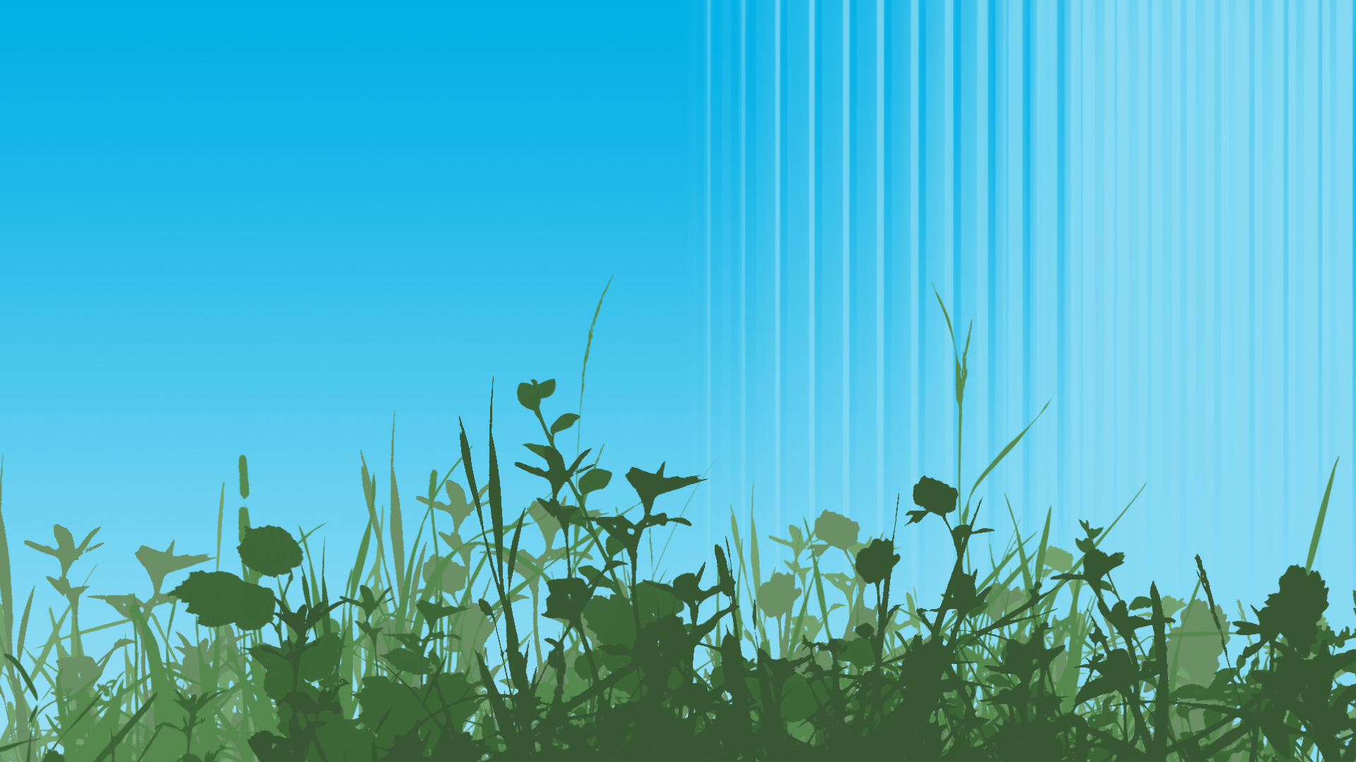 Modern Browsers Bluegrass HD wallpapers Modern Browsers Bluegrass HD wallpapers
