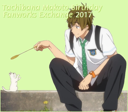 makoto playing with kitten
