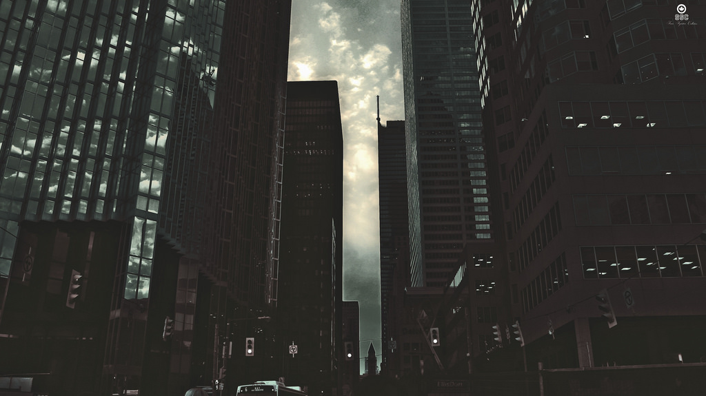 Header Banner