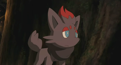 http://static.tumblr.com/b46d6b95d63244d0049762f87b13a414/1ewqodu/8g5mmk8xe/tumblr_static_howling_zorua_by_wingwolf_wingd-d3bjccf.gif