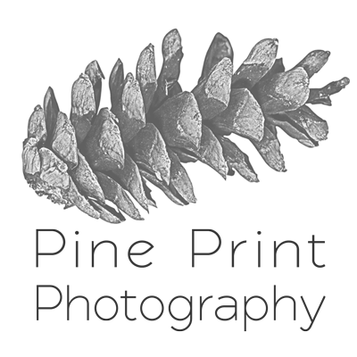 Pine Print Photography