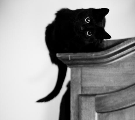 http://static.tumblr.com/e3eda2fe1a701b214d27aa5c7851879d/w1xqm0l/Ywen6nlk6/tumblr_static_2r5t096cuuo0o04c0sscgookw.jpg