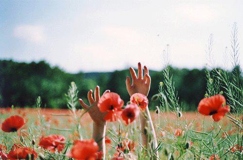 Resultado de imagem para primavera tumblr