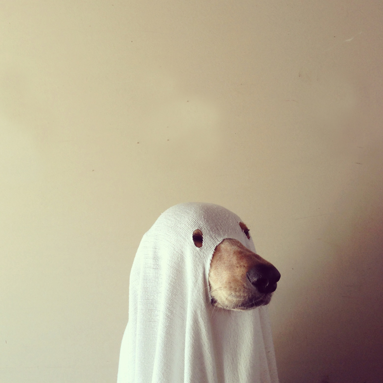 Imagenes Tumblr