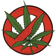 Sex Cauth On Tape I Quit Smoking Weed