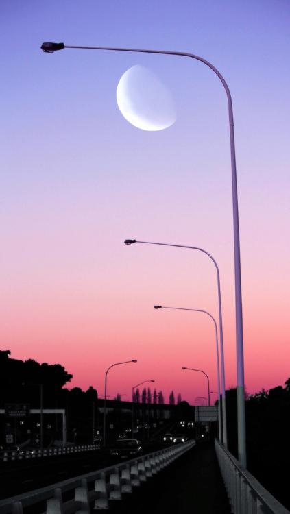 Luna - Follow You Heart Luna - Follow You Heart