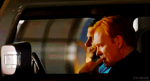 Csi miami fanfic