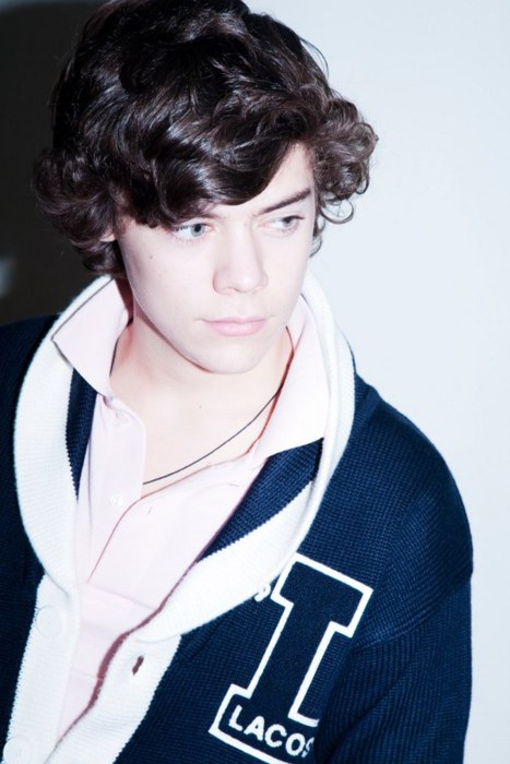... Harry Styles Fanfic ... Harry Styles Fanfic