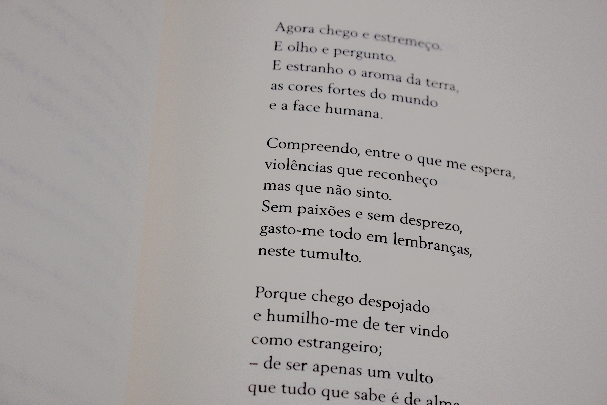 {PhotoAlt}