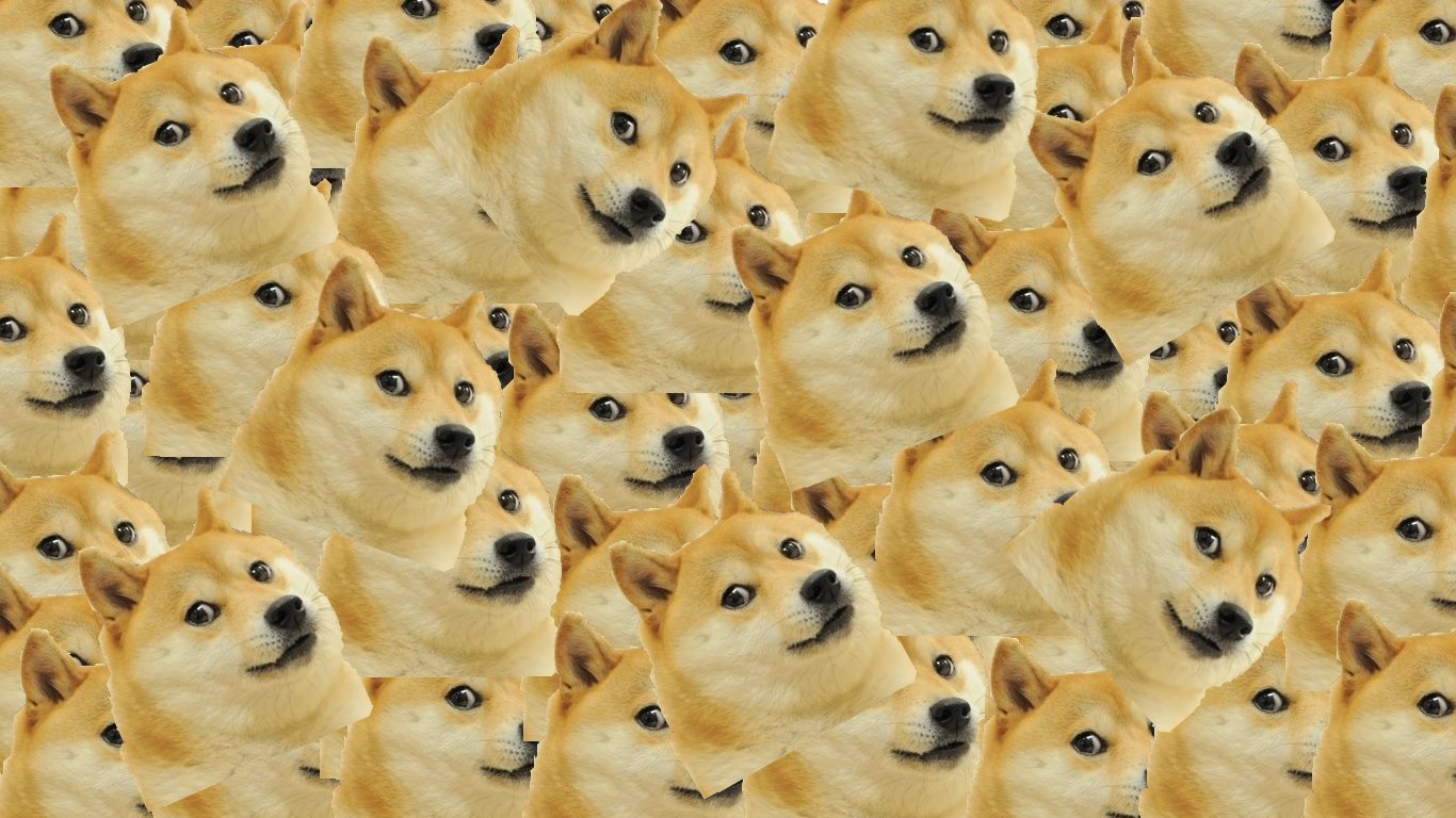 doge cat tumblr tumblr_static_artworks 000055151158 1j3vmm original doge cat tumblr,Doge Meme Wallpaper