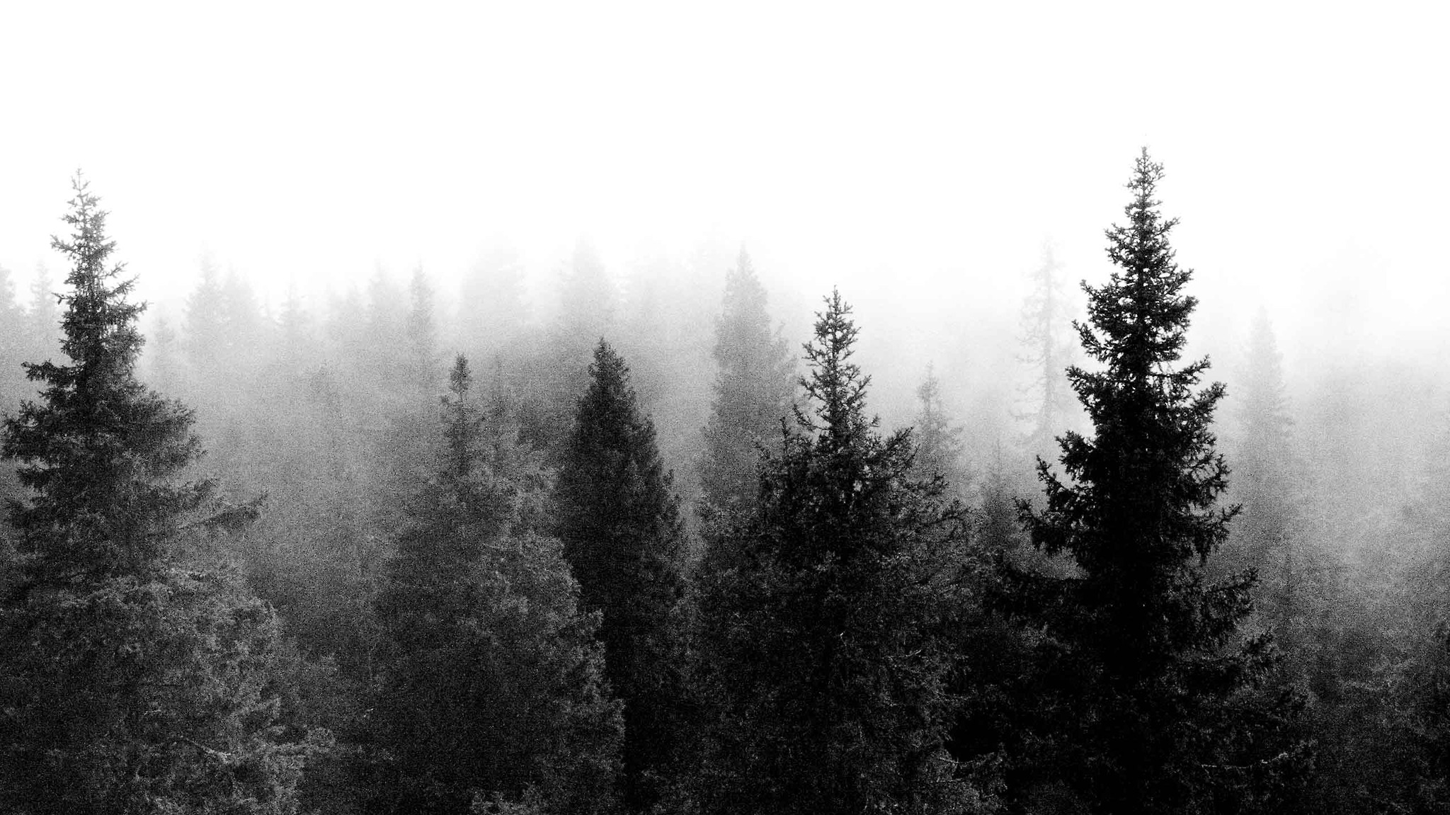 Hxnxx~ on Tumblr