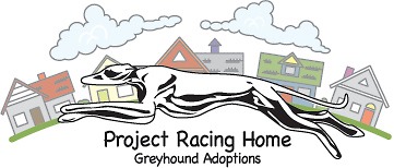Project racing home randleman nc Project racing home randleman nc