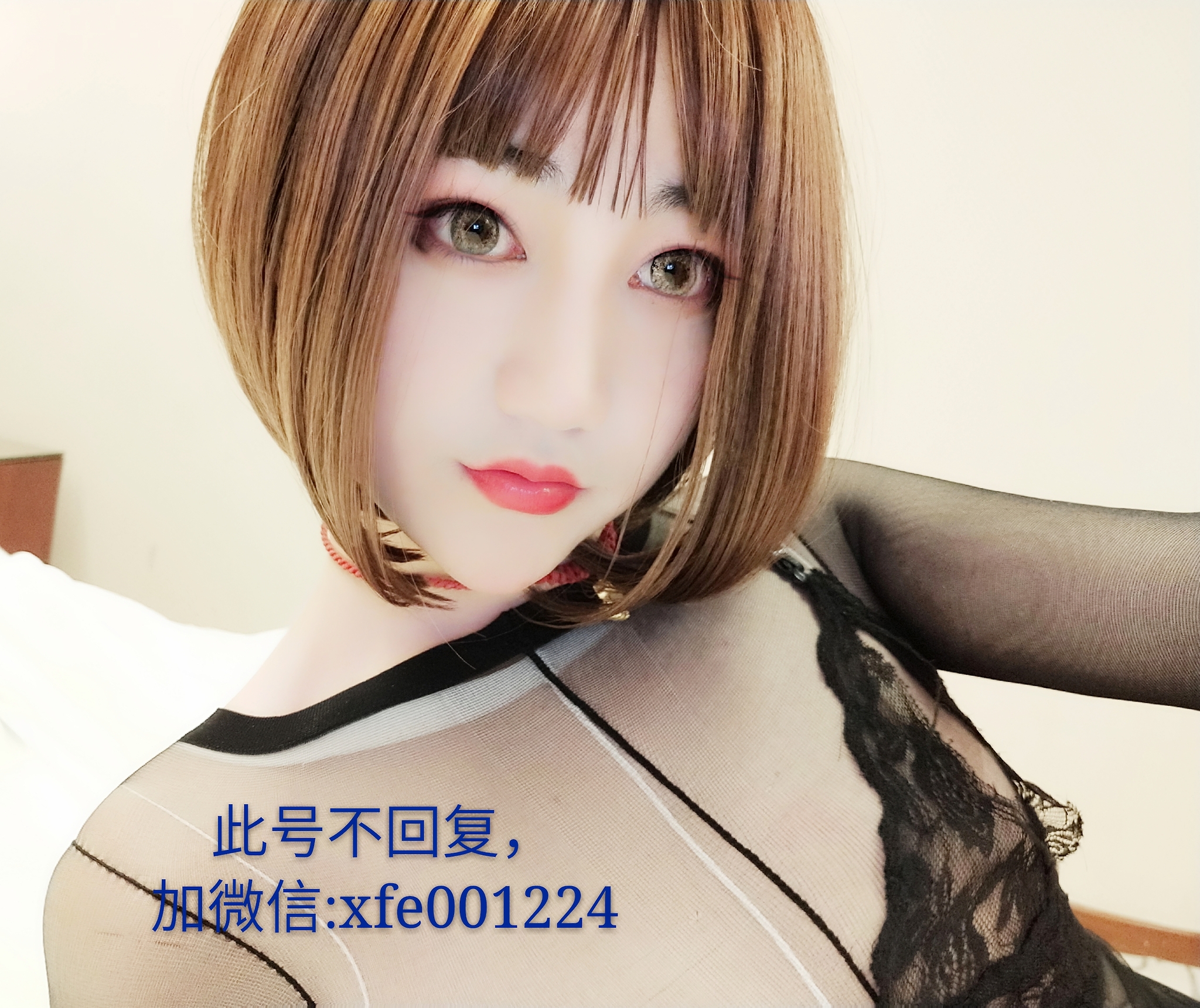 橘 猫 福 利 姬 - bedava.apollosquiver.com 
