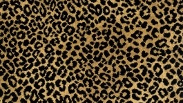 cheetah print tattoo cheetah print tattoo