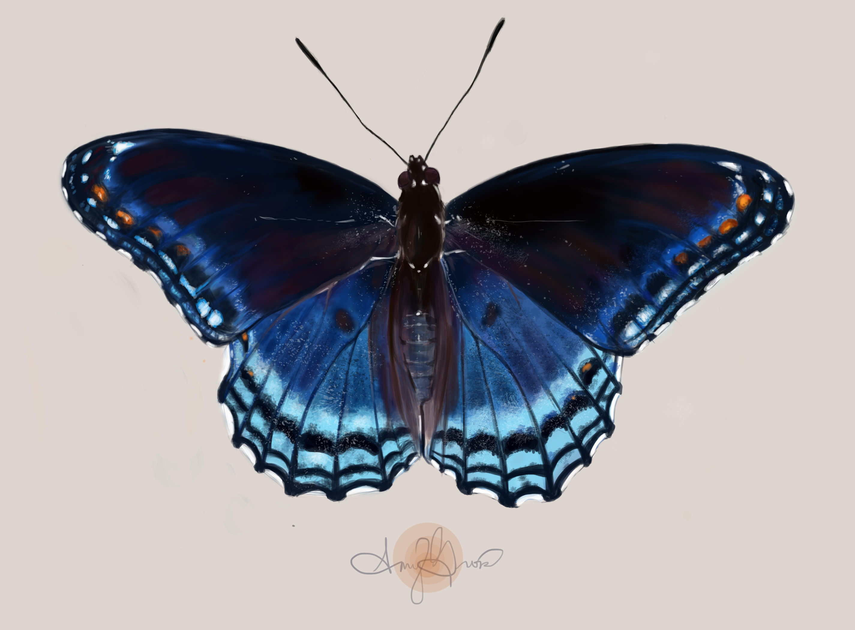 It is a graphic of Sweet Butterfly Drawing Tumblr It is a picture of Sweet Butterfly Drawing Tumblr