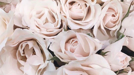 Tumblr Flowers Halloween Hookup Speed Pictures Tumblr Flowers Halloween Hookup Speed Pictures