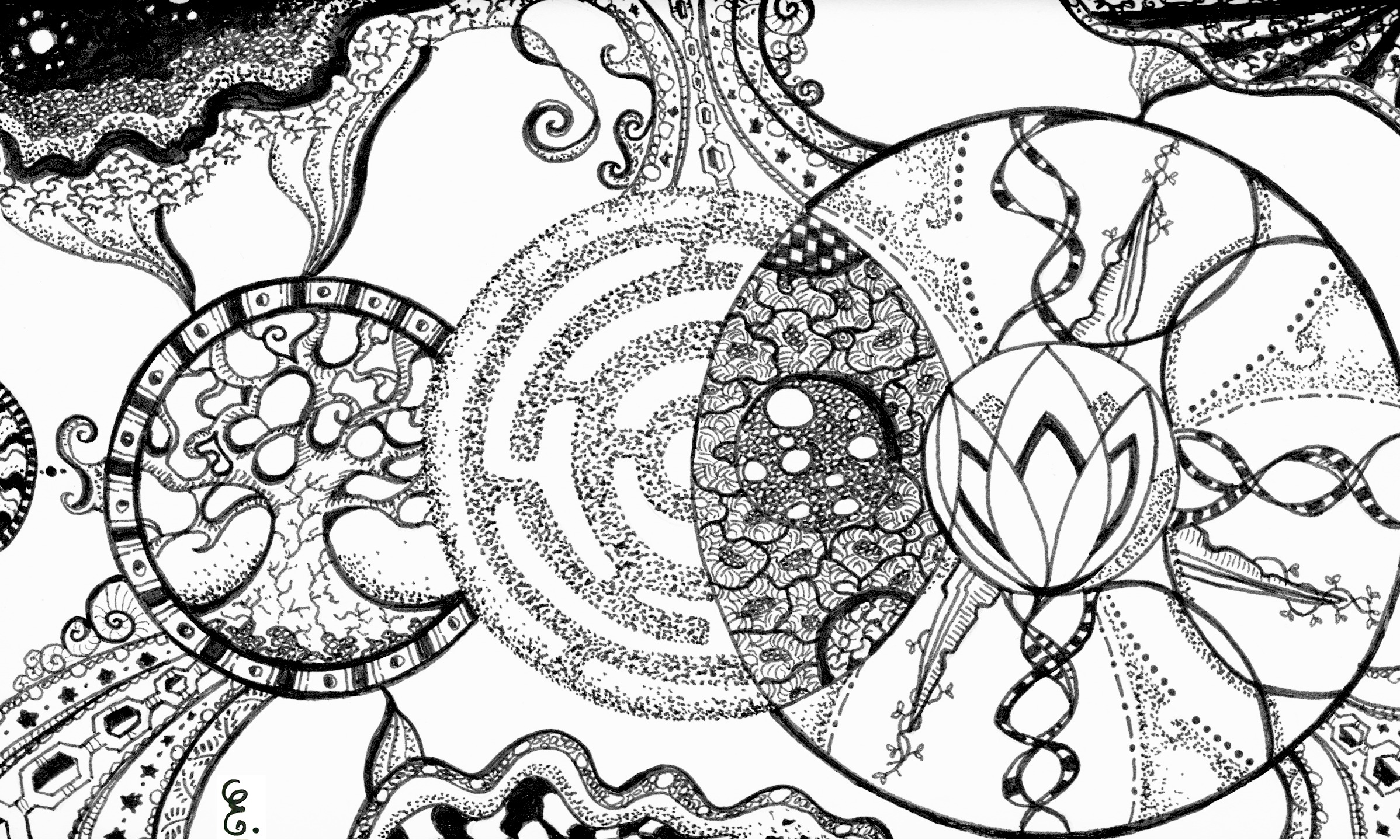 skate designs