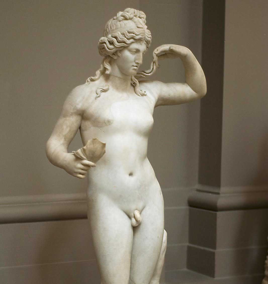 Excellent 18 year old hermaphrodite 18 year old hermaphrodite congratulate