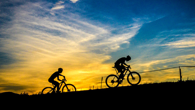mountain biking trails tumblr