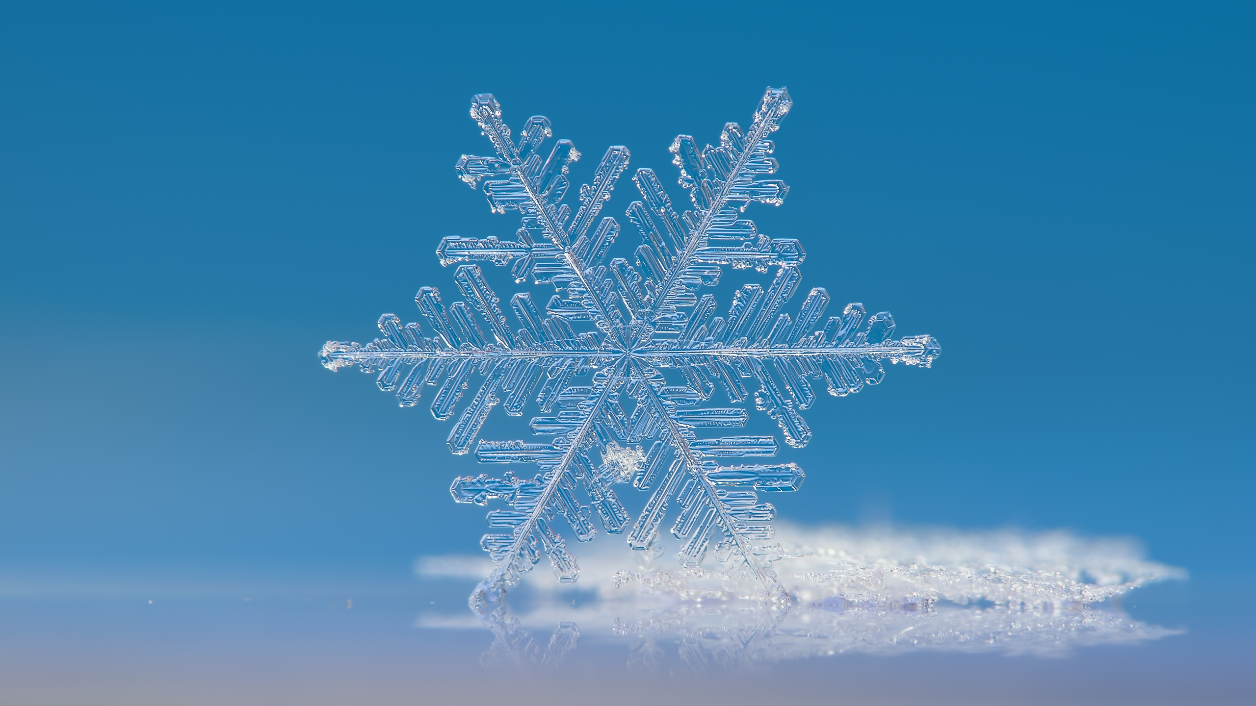 Snow Background Tumblr Snow Background Tumblr