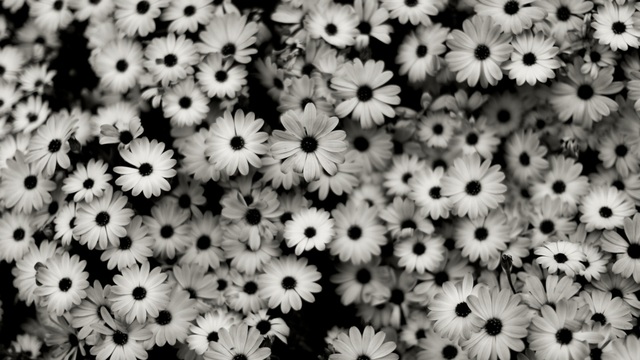 Coffee Tumblr Black And White Coffee Tumblr Black And White