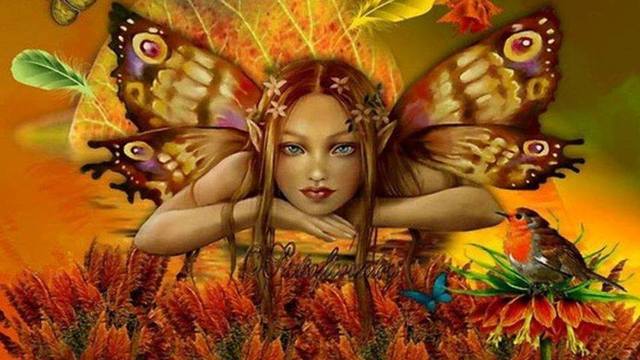 Fotos de adas duendes 4 Fotos de adas duendes 93