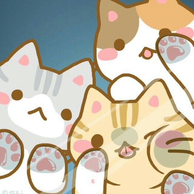 kawaii neko girl tumblr