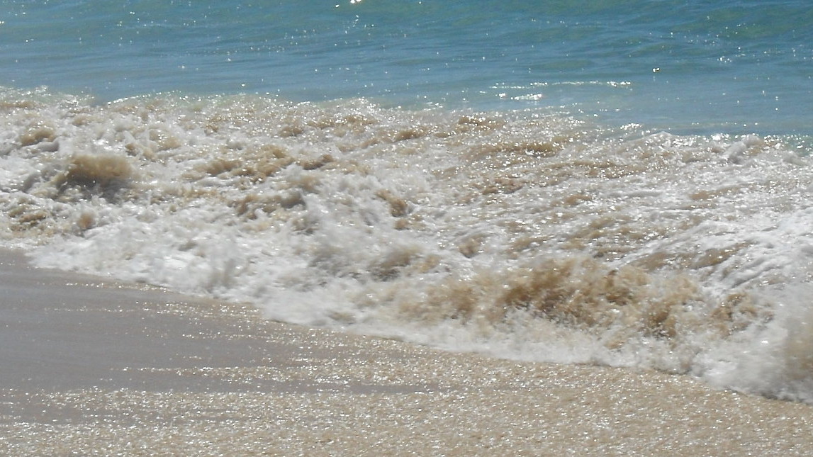 Nude beach teen tumblr - Hot porno