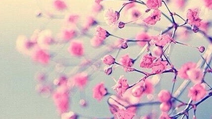 list of synonyms and antonyms of the word pink things pink cute things