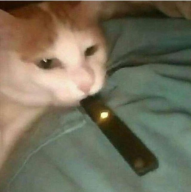 Extendo Dick
