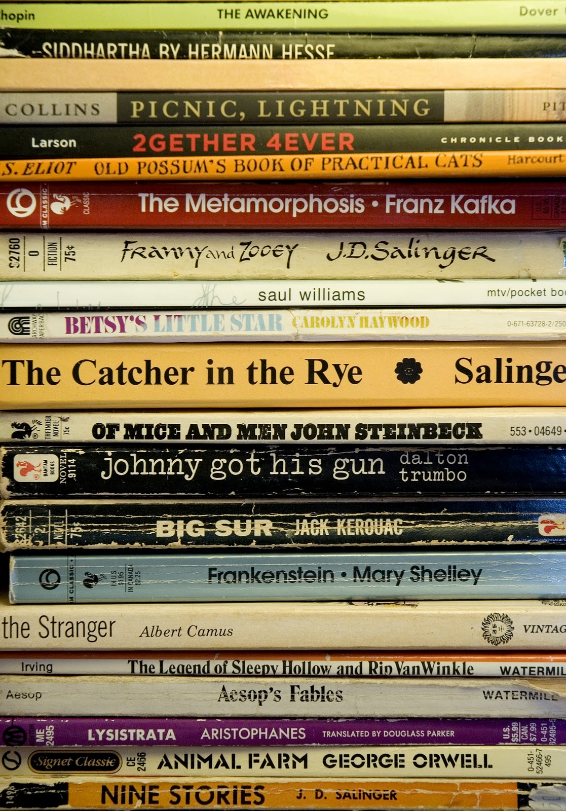 Best book tumblr blogs i follow