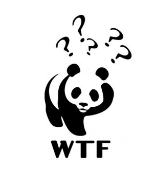 wtf_panda_2050-305x337