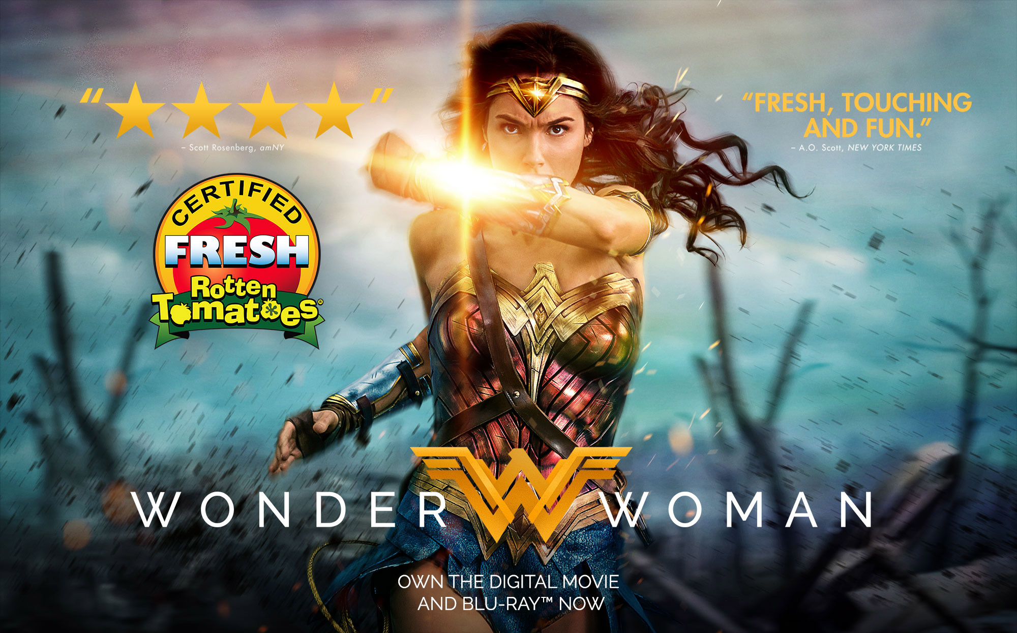 Wonder Woman 1984 - Rotten Tomatoes